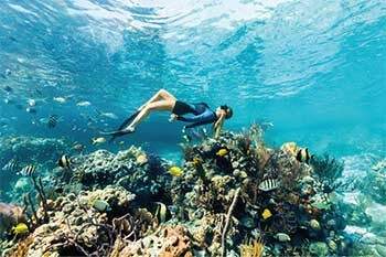 Beste dykkesteder i Abaco, Bahamas