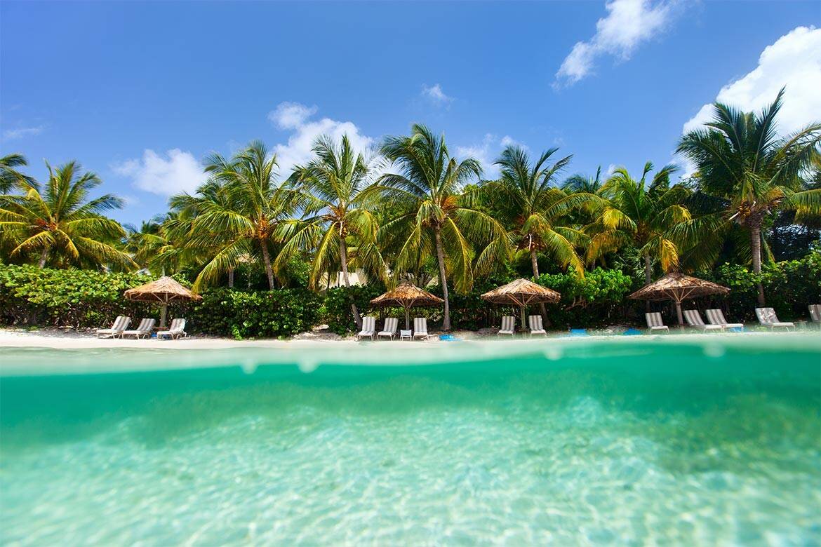 Chairs and umbrellas on the shore framed with palm trees and clear water